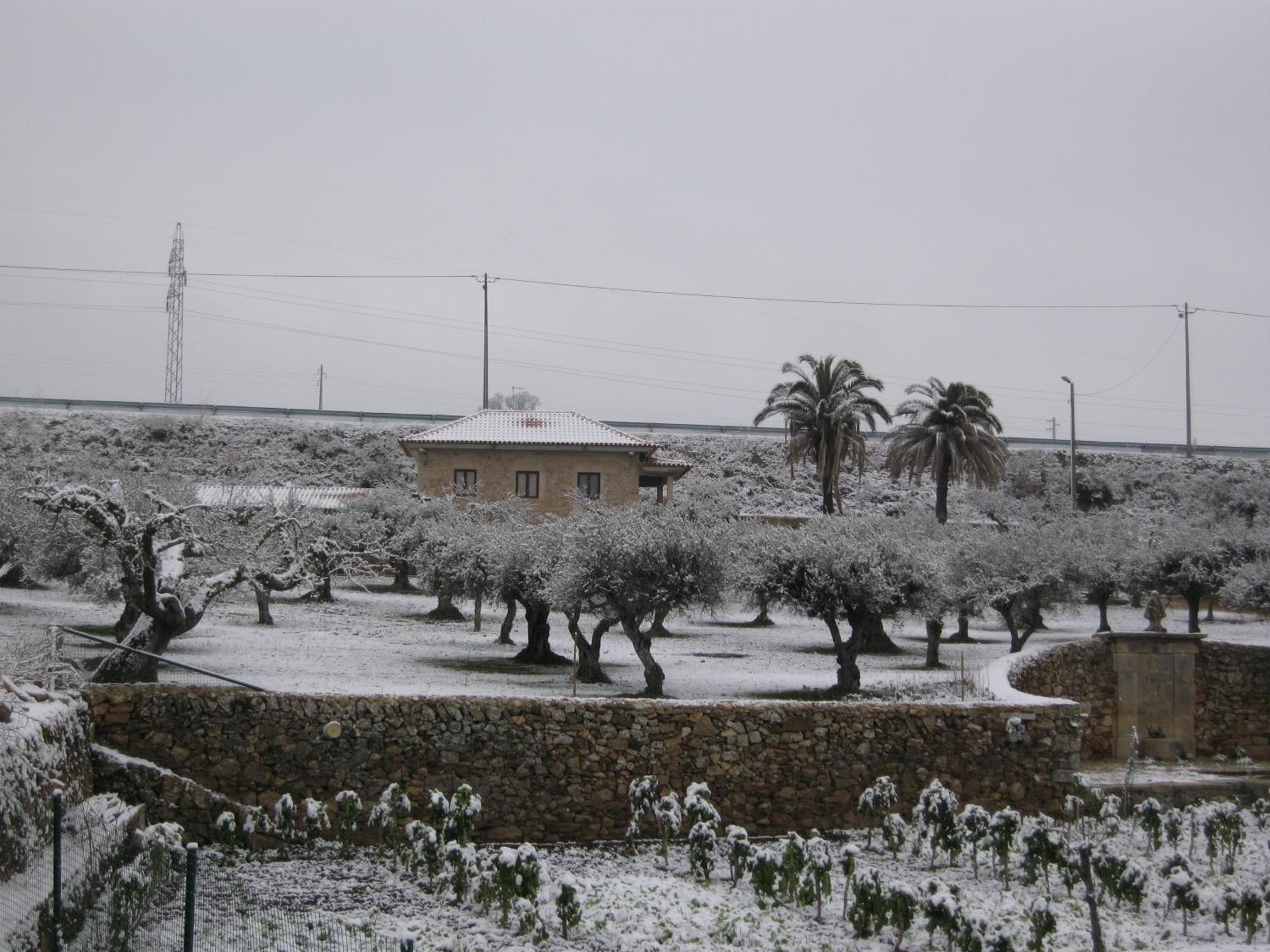 Quinta Das Pias - Holiday Farm ピニェル エクステリア 写真