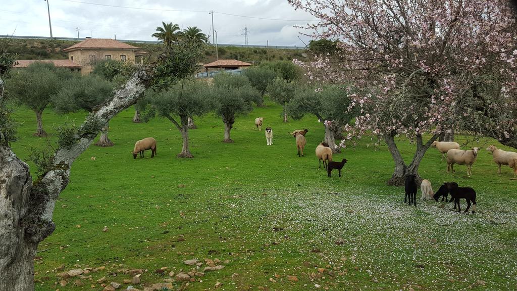 Quinta Das Pias - Holiday Farm ピニェル エクステリア 写真